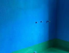 普定卫生间测漏水多少钱